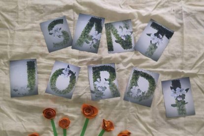 Aquestes són les imatges que ens heu enviat del vostre Sant Jordi confinat