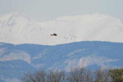 El fred, la boira i la neu... l'hivern ja és aquí!