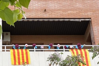 Aquestes són les imatges que ens heu enviat del vostre Sant Jordi confinat. Participa enviant-nos els teves imatges a través de les nostres xarxes socials o a través del correu sergrecom@segre.com