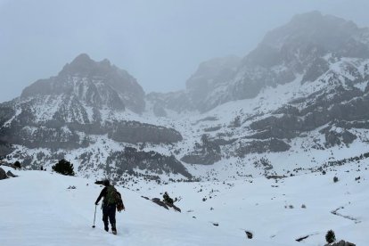 El fred, la boira i la neu... l'hivern ja és aquí!