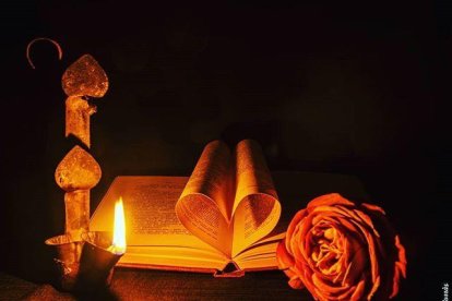 Aquestes són les imatges que ens heu enviat del vostre Sant Jordi confinat. Participa enviant-nos els teves imatges a través de les nostres xarxes socials o a través del correu segrecom@segre.com