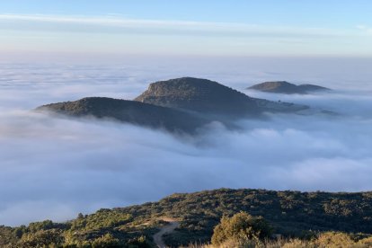 El fred, la boira i la neu... l'hivern ja és aquí!