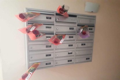 Aquestes són les imatges que ens heu enviat del vostre Sant Jordi confinat. Participa enviant-nos els teves imatges a través de les nostres xarxes socials o a través del correu segrecom@segre.com