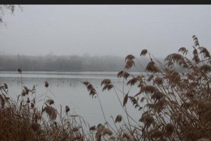El fred, la boira i la neu... l'hivern ja és aquí!