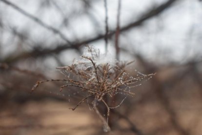 El fred, la boira i la neu... l'hivern ja és aquí!