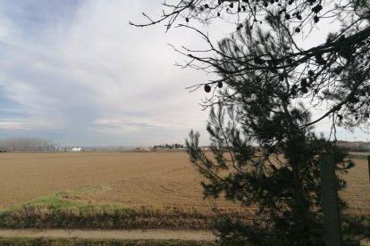 El fred, la boira i la neu... l'hivern ja és aquí!