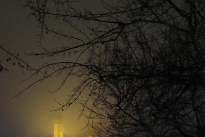 Manuel Fregola Navarro