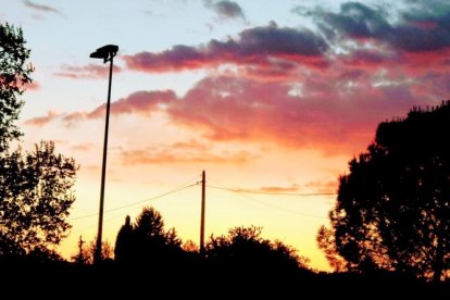¡Seguimos recibiendo fotos de árboles en flor, campos verdes y buen tiempo...ya está aquí la primavera!