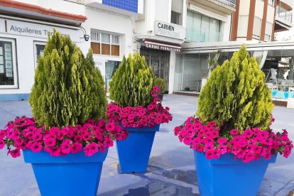 ¡Seguimos recibiendo fotos de árboles en flor, campos verdes y buen tiempo...ya está aquí la primavera!