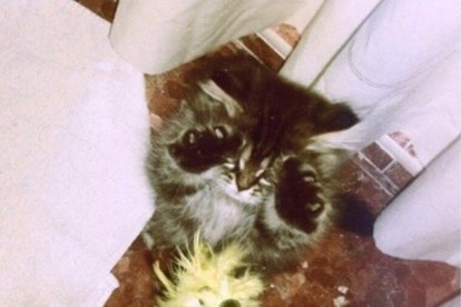 Paula Mallada Farreny