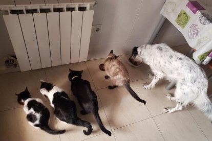 Ester Ramirez Ramírez