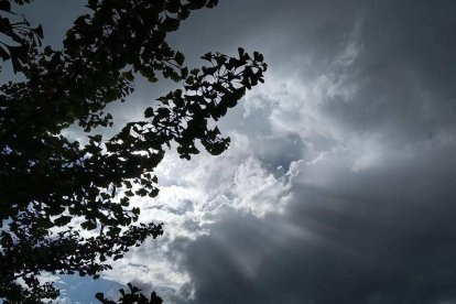¡Seguimos recibiendo fotos de árboles en flor, campos verdes y buen tiempo...ya está aquí la primavera!
