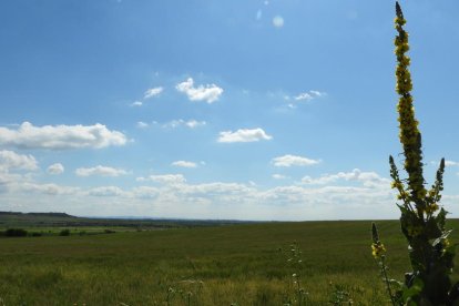 ¡Seguimos recibiendo fotos de árboles en flor, campos verdes y buen tiempo...ya está aquí la primavera!