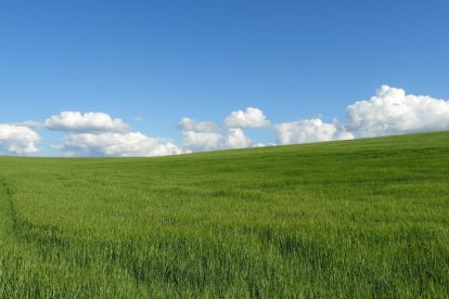 ¡Seguimos recibiendo fotos de árboles en flor, campos verdes y buen tiempo...ya está aquí la primavera!