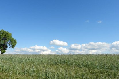 ¡Seguimos recibiendo fotos de árboles en flor, campos verdes y buen tiempo...ya está aquí la primavera!