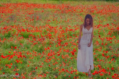 ¡Seguimos recibiendo fotos de árboles en flor, campos verdes y buen tiempo...ya está aquí la primavera!