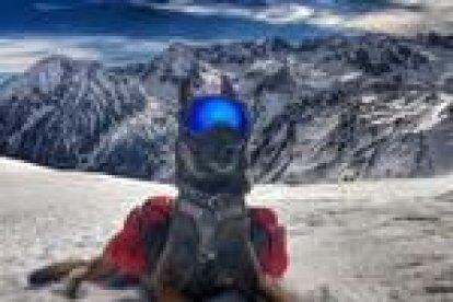 yolanda lopez olives