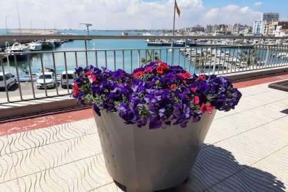 ¡Seguimos recibiendo fotos de árboles en flor, campos verdes y buen tiempo...ya está aquí la primavera!