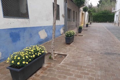 ¡Seguimos recibiendo fotos de árboles en flor, campos verdes y buen tiempo...ya está aquí la primavera!