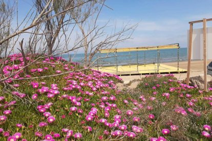 ¡Seguimos recibiendo fotos de árboles en flor, campos verdes y buen tiempo...ya está aquí la primavera!