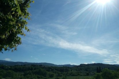 ¡Seguimos recibiendo fotos de árboles en flor, campos verdes y buen tiempo...ya está aquí la primavera!