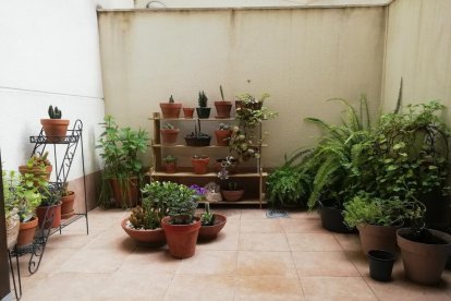 ¡Seguimos recibiendo fotos de árboles en flor, campos verdes y buen tiempo...ya está aquí la primavera!