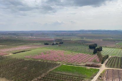 ¡Seguimos recibiendo fotos de árboles en flor, campos verdes y buen tiempo...ya está aquí la primavera!