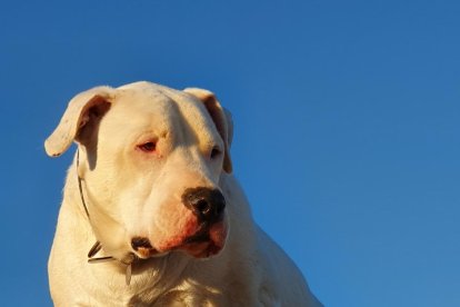 María jose Marrero garcia