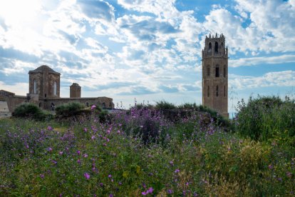 ¡Seguimos recibiendo fotos de árboles en flor, campos verdes y buen tiempo...ya está aquí la primavera!