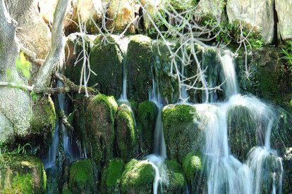 ¡Seguimos recibiendo fotos de árboles en flor, campos verdes y buen tiempo...ya está aquí la primavera!