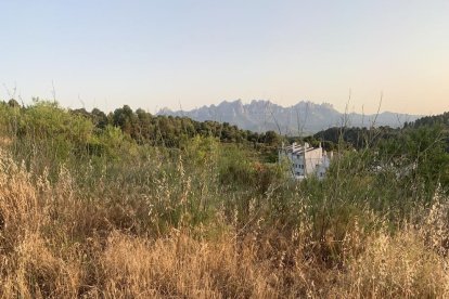 Gossos, gats, canaris, conills,...presenta'ns a la teva mascota!