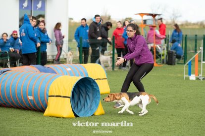 Gossos, gats, canaris, conills,...presenta'ns a la teva mascota!