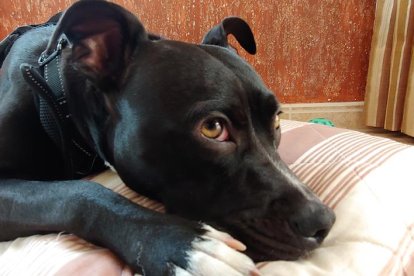 Silvia Miquel Marquez