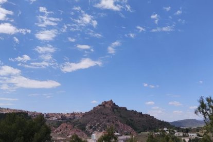 ¡Seguimos recibiendo fotos de árboles en flor, campos verdes y buen tiempo...ya está aquí la primavera!