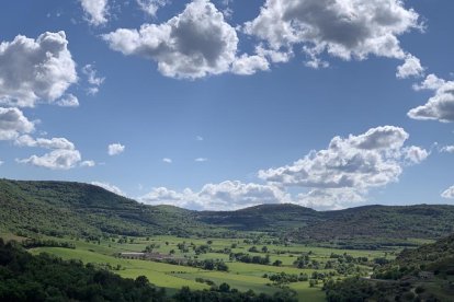 ¡Seguimos recibiendo fotos de árboles en flor, campos verdes y buen tiempo...ya está aquí la primavera!