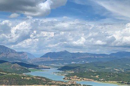 ¡Seguimos recibiendo fotos de árboles en flor, campos verdes y buen tiempo...ya está aquí la primavera!