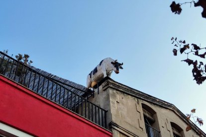 Envia'ns fotos de balcons i façanes que t'hagin cridat l'atenció.