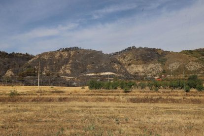 Quema unas 80 hectáreas de Catalunya y Aragón.