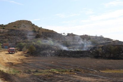Quema unas 80 hectáreas de Catalunya y Aragón.