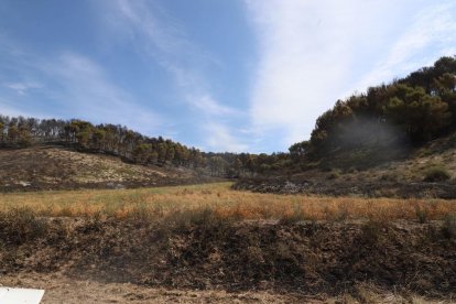 Quema unas 80 hectáreas de Catalunya y Aragón.