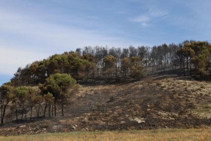 Quema unas 80 hectáreas de Catalunya y Aragón.