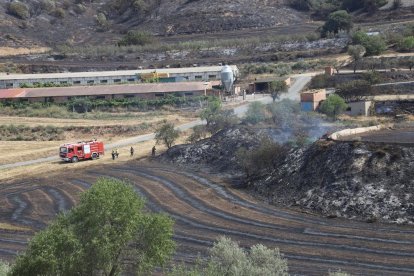 Quema unas 80 hectáreas de Catalunya y Aragón.