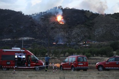 Quema unas 80 hectáreas de Catalunya y Aragón.