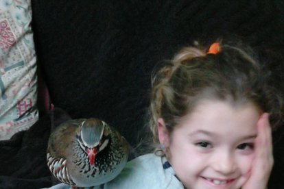 Gossos, gats, canaris, conills,...presenta'ns a la teva mascota!
