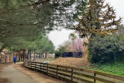 El frío, la niebla y la nieve... ¡el invierno ya está aquí!