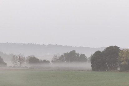 El frío, la niebla y la nieve... ¡el invierno ya está aquí!