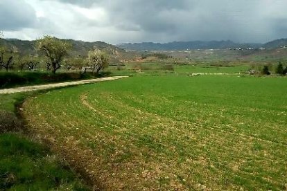 El frío, la niebla y la nieve... ¡el invierno ya está aquí!