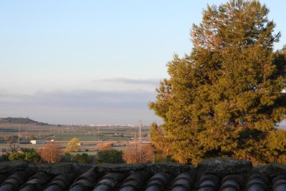 El frío, la niebla y la nieve... ¡el invierno ya está aquí!