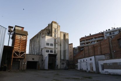 Itmar Fabregat
