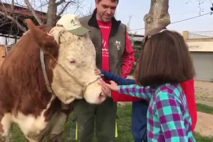 Granja Pifarré difon un vídeo en suport de la campanya Posa't la Gorra